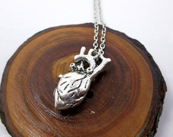 May include: A silver anatomical heart pendant necklace. The heart is detailed with veins and arteries. The necklace is on a wooden surface.