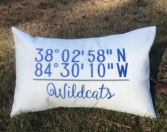 Kentucky Wildcats coordinates pillow