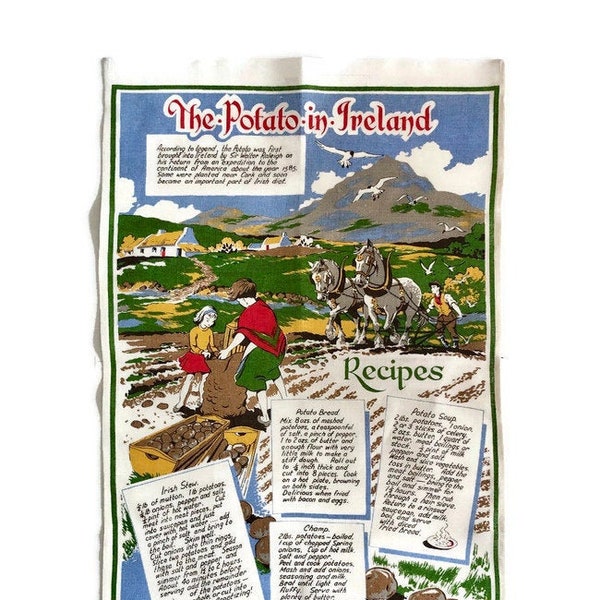 Irish Kitchen Decor Etsy