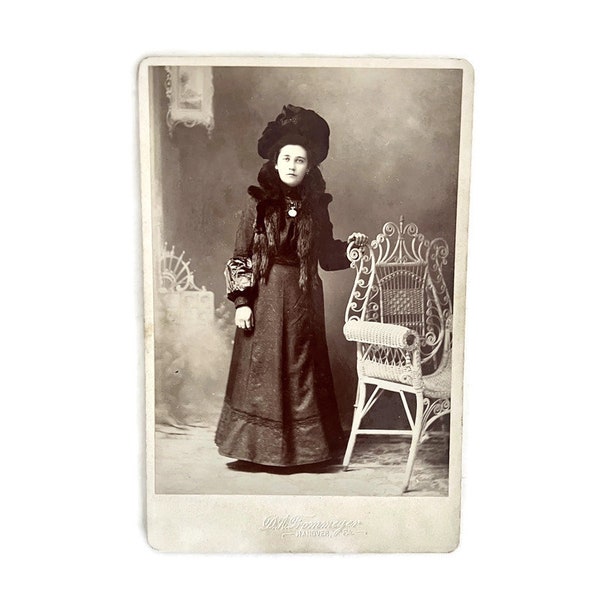 Photo of a Wealthy Woman 1880s | Antique Professional Photography | Still Image Portrait  | Cabinet Cards | 19th Century Fashion | Americana