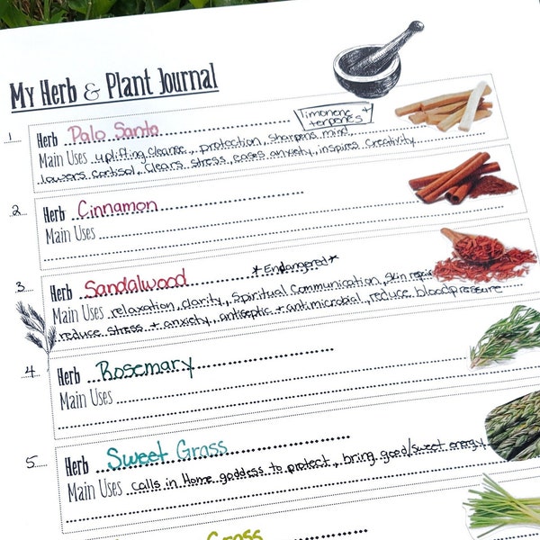 Herbalism Journal Printable | Herbs Apothecary Worksheet Grimoire Page