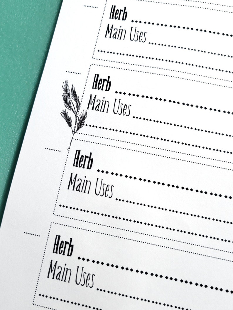 May include: A printable worksheet with four blank lines for listing herbs and their main uses. Each line has the word "Herb" and "Main Uses" printed in black text.