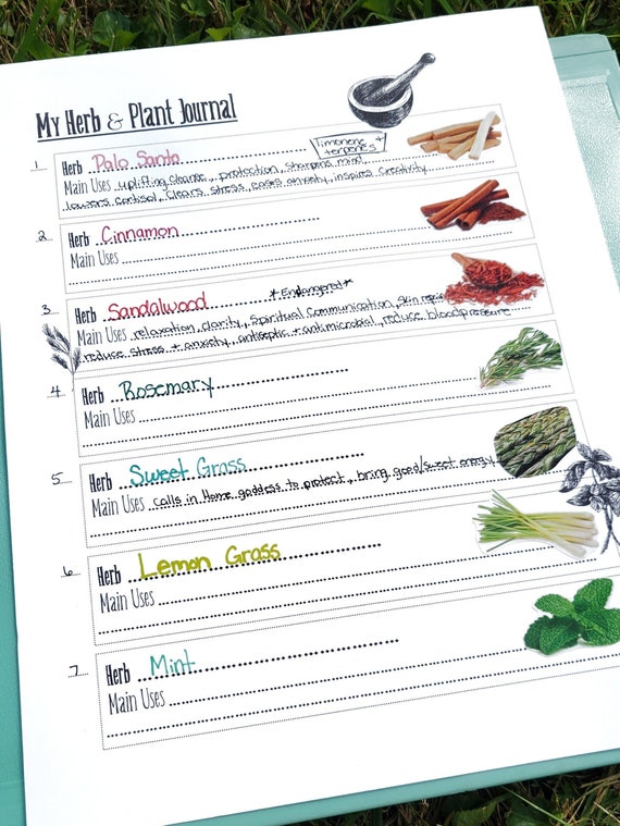Herbalism Journal Printable | Herbs Apothecary Worksheet Grimoire Page