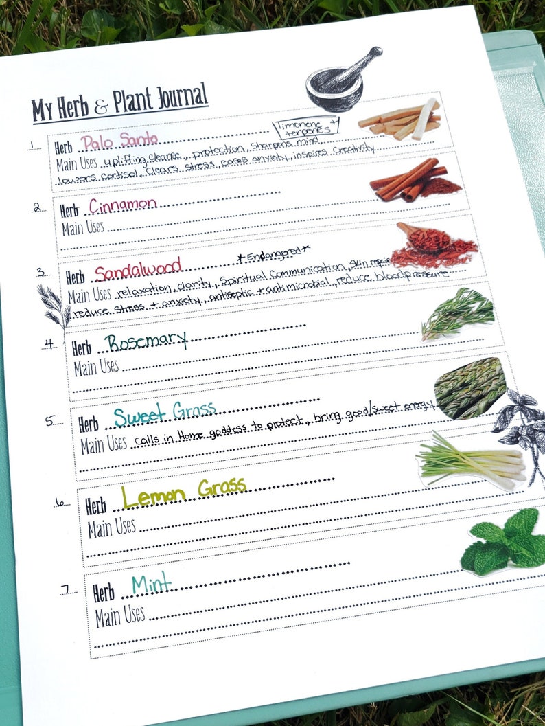 Herbalism Journal Printable Herbs Apothecary Worksheet Grimoire Page image 1