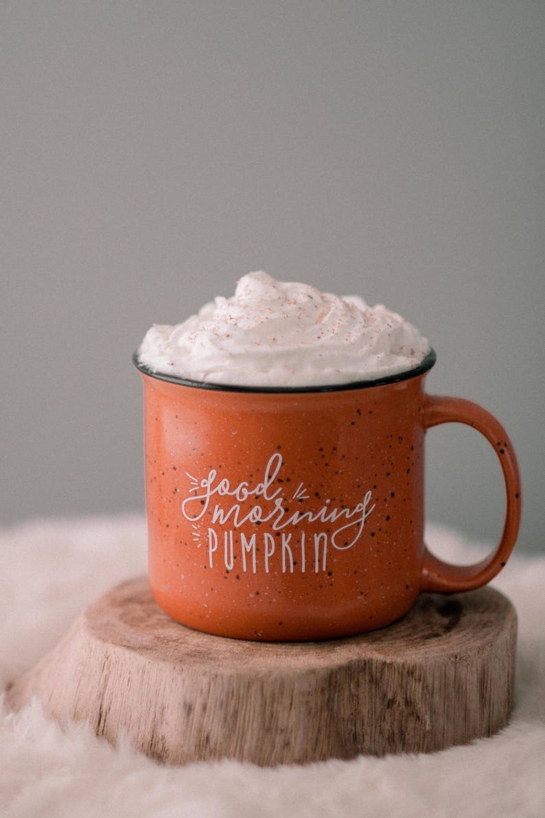 Fall Mug Pumpkin Coffee Mug / Good Morning Pumpkin / Fall Coffee Mug / Pumpkin Spice Latte / Farmhouse Mug / Fall Decor Fall Mug image 8