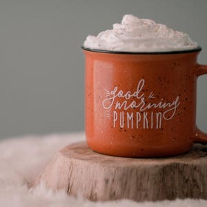 Fall Mug Pumpkin Coffee Mug / Good Morning Pumpkin / Fall Coffee Mug / Pumpkin Spice Latte / Farmhouse Mug / Fall Decor Fall Mug image 7