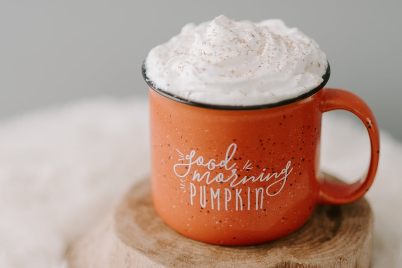 Pumpkin Mug Fall Decor / Campfire Mug / Rustic Decor / Good Morning Pumpkin / Fall Coffee Mug / Pumpkin Spice Latte / Gift for Friend image 2