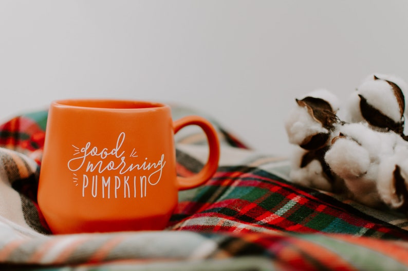 Good Morning Pumpkin Pumpkin Mug / Fall Mug / Pumpkin Mug Decor / Fall Coffee Mug / Pumpkin Spice Latte / Gift for Friend image 6