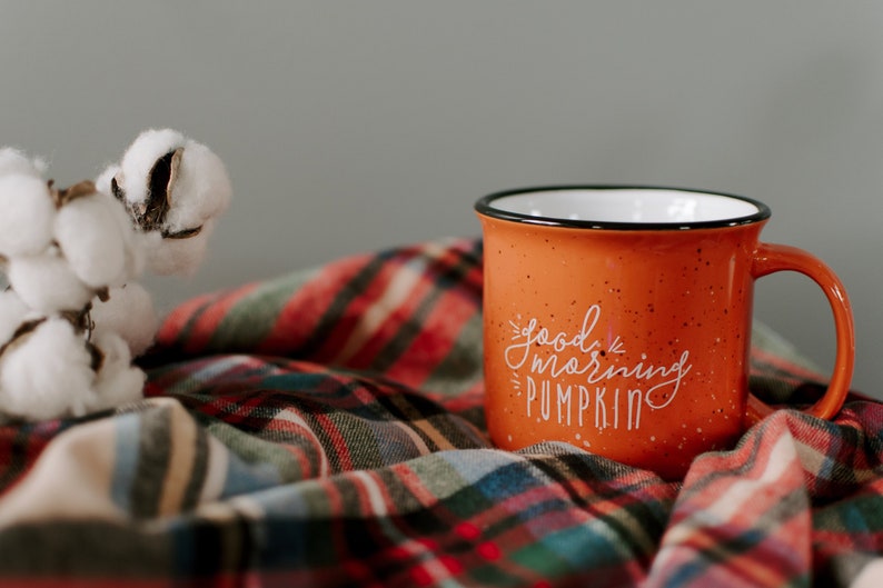 Pumpkin Mug Fall Decor / Campfire Mug / Rustic Decor / Good Morning Pumpkin / Fall Coffee Mug / Pumpkin Spice Latte / Gift for Friend image 10