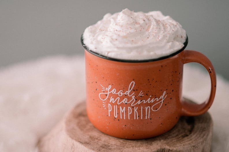 Fall Mug Pumpkin Coffee Mug / Good Morning Pumpkin / Fall Coffee Mug / Pumpkin Spice Latte / Farmhouse Mug / Fall Decor Fall Mug image 6