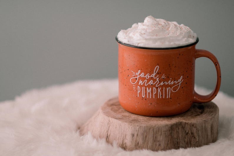 Pumpkin Mug Fall Decor / Campfire Mug / Rustic Decor / Good Morning Pumpkin / Fall Coffee Mug / Pumpkin Spice Latte / Gift for Friend image 9