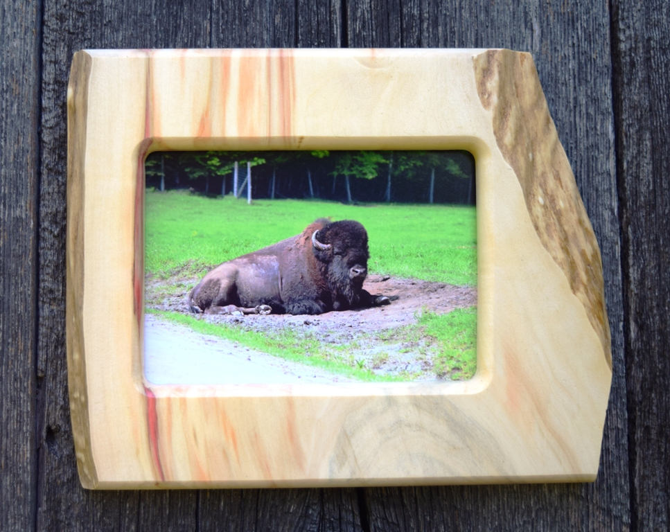 rustic picture frame / 5 x 7 photo frame / wildlife photo / Etsy