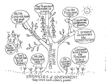 The 3 Branches of Government Fact  (digital sheet)