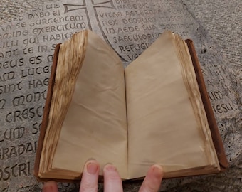 Grail diary journal **Blank pages**    **No inserts**    Indiana Jones fan made prop replica