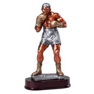 Trofeo del miglior pugile - Premio di pugilato personalizzato con incisione - Regalo personalizzato per combattente - Premio per campione di pugilato - Trofeo del torneo di pugilato