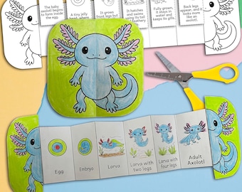 May include: A printable axolotl life cycle educational chart. The chart features a blue axolotl illustration and a step-by-step guide to its development, from egg to adult. Includes a pair of yellow-handled scissors.