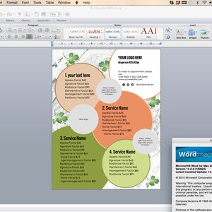 May include: A green, orange, and white flyer with a marble background. The flyer is divided into four sections, each with a different service name and price list. The flyer also includes a place for a logo and contact information.