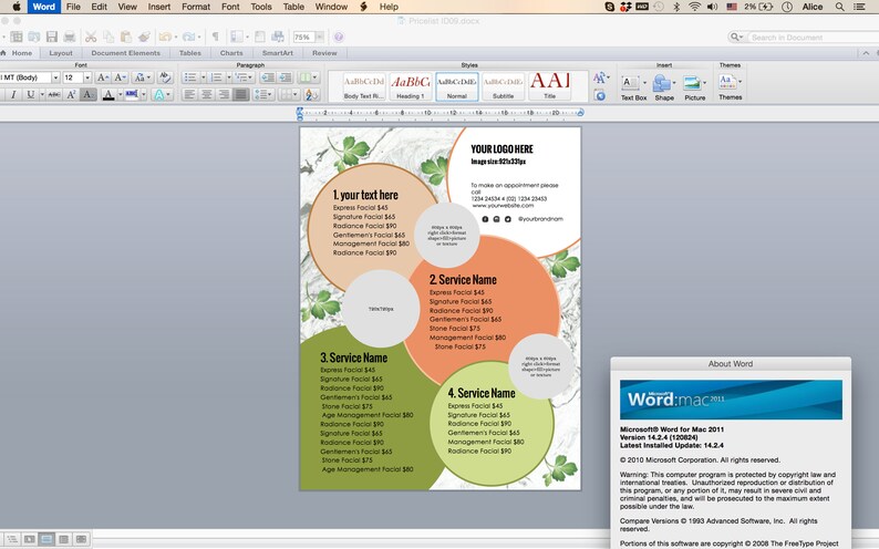 May include: A green, orange, and white flyer with a marble background. The flyer is divided into four sections, each with a different service name and price list. The flyer also includes a place for a logo and contact information.