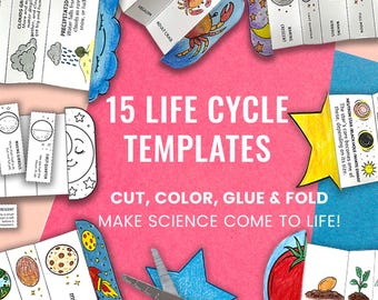 Foldable Life Cycle Bundle of 15 Templates | Discounts with Bundle | Learning Activity For Kids | A4 and 11x8.5 inch | Digital Download