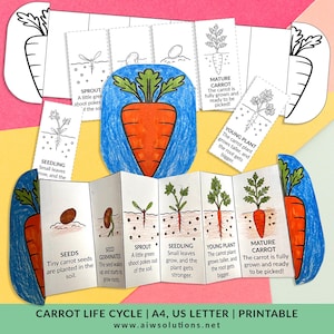 life cycle of a hedgehog, mammal life cycle, animal life cycle, preschool science, hedgehog worksheet, sequencing activity, STEM activity