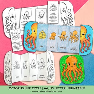 Life Cycle Of An Octopus – Foldable Sequencing Activity Craft, Preschool Octopus Activity, Kindergarten Science, Octopus Science Worksheet