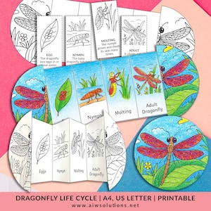Life Cycle Of A Dragonfly, Dragonfly Sequencing Activity, coloring Dragonfly Worksheet, Dragonfly Cut And Paste, Dragonfly Foldable Craft