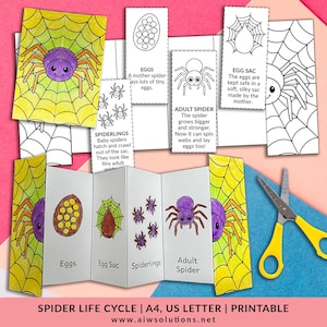 Actividad de aprendizaje del ciclo de vida de la araña plegable para niños, imprimible de ciencia para niños, araña de aprendizaje temprano, actividad de aprendizaje de arañas