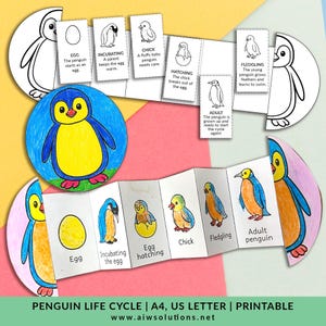 Life Cycle Of A Penguin Foldable, Kids’ Craft Activity, Penguin Life Cycle Craft For Kids,Cut And Paste Life Cycle,  penguin coloring page,