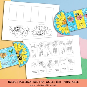 Insect Pollination Sequencing Craft, Pollination Cut and Paste Flower ...