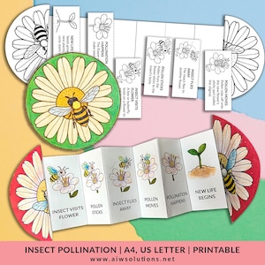 Insect Pollination Sequencing Craft, Pollination Cut And Paste Flower Activity, How Insects Pollinate, Flowers Activity, kid play and learn
