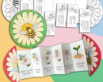 Manualidad de polinización de insectos, actividad de polinización de flores (cortar y pegar), cómo polinizan los insectos, actividad de flores, juegos y aprendizaje para niños