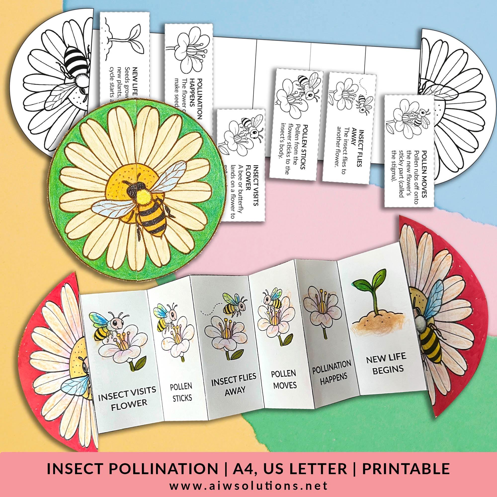 Pollinator activity - Etsy México, image size:2000x2000