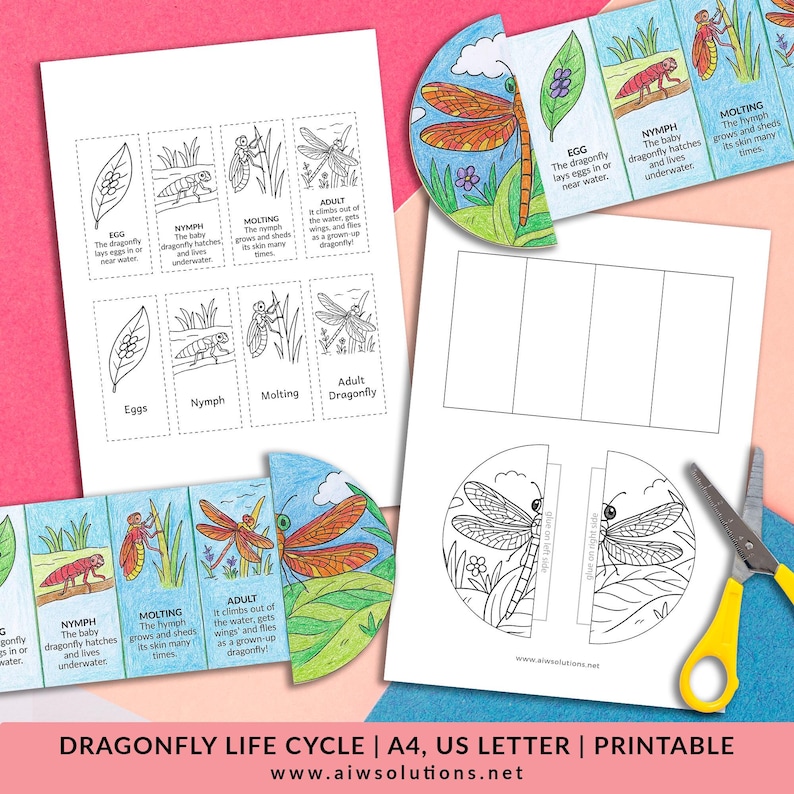 Life Cycle of A Dragonfly, Dragonfly Sequencing Activity, Coloring ...