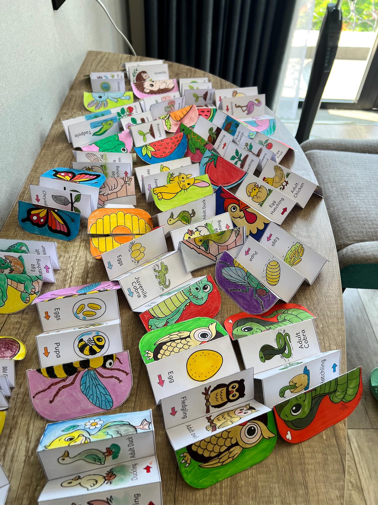 Life Cycle of a Cobra Snake Foldable Sequencing Activity,snake Life ...