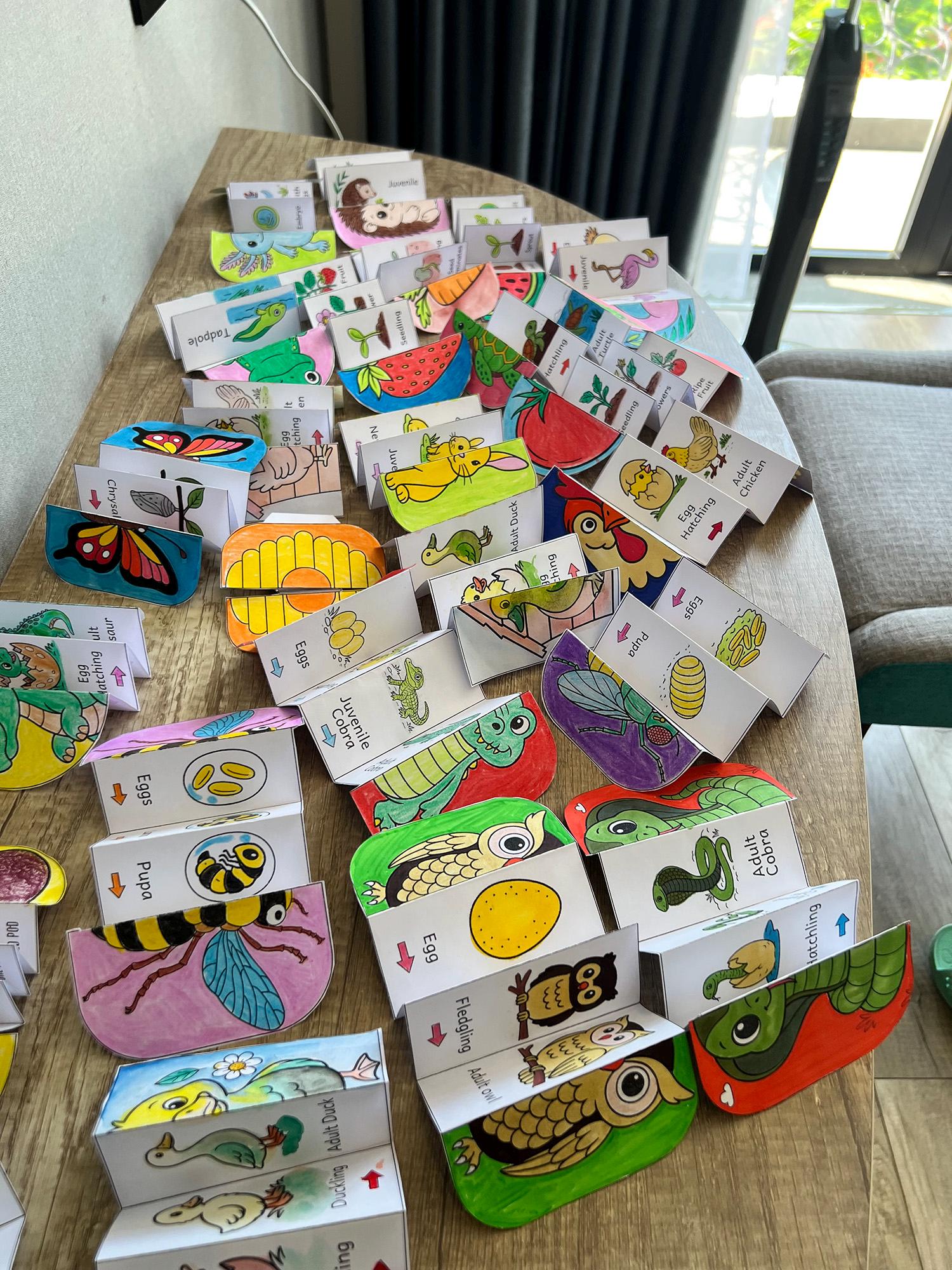 Life Cycle of a Cobra Snake Foldable Sequencing Activity,snake Life ...