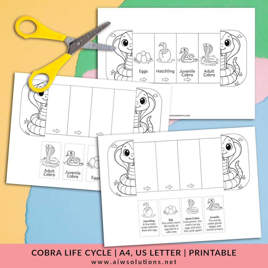 Life Cycle of a Cobra Snake Foldable Sequencing Activity,snake Life ...