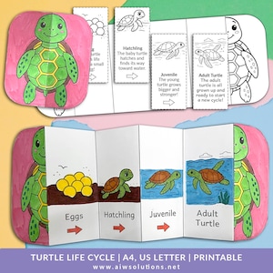 Puede incluir: Un gráfico educativo imprimible y colorido que ilustra el ciclo de vida de una tortuga. El gráfico muestra las etapas, desde los huevos hasta la edad adulta, con ilustraciones y etiquetas de texto. El diseño incluye un borde rosa y el texto "TURTLE LIFE CYCLE | A4, US LETTER | PRINTABLE".