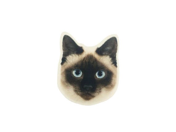 American Shorthair Cat Coasters Cat Gift for Cat Lovers Cat Gift