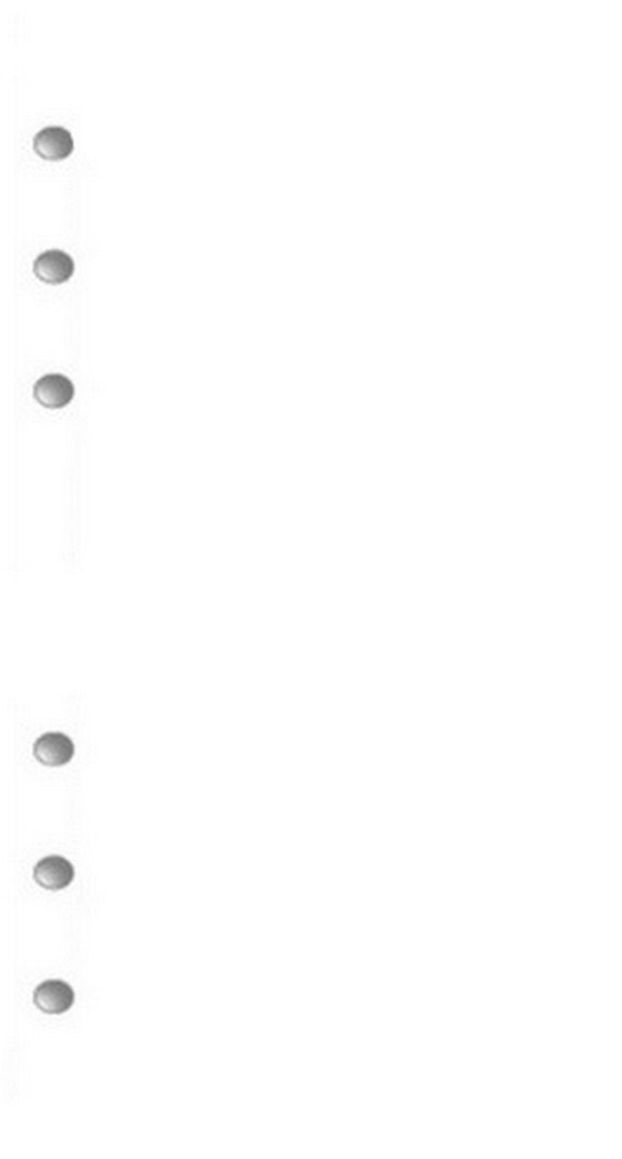 30 sheets of blank ringbound paper