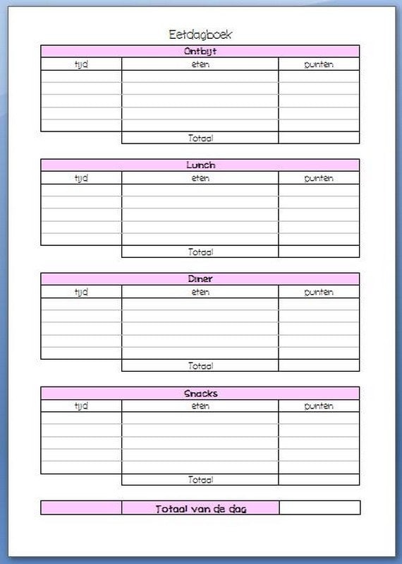 20 x A5 food journal inserts