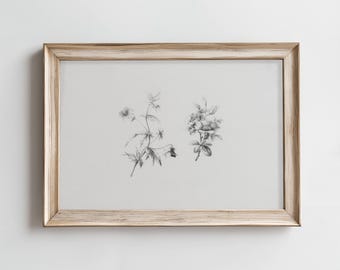 Flower Drawing Printable Wall Art | Vintage Floral Sketch Black and White | Minimal Botanical Neutral Home Decor | Digital Download