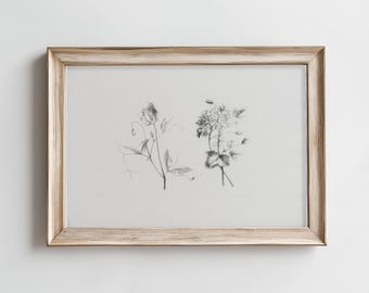 Printable Flower Wall Art | Flower Drawing Print | Vintage Floral Sketch Black and White |Botanical Neutral Home Decor | Digital Download