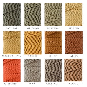 Op de afbeelding: Twaalf spoelen katoenen touw in verschillende kleuren, waaronder laurierblad, oregano, mos steen, St. Remy, zonnebloemgeel, oker, citrus, Arles, grapefruit, beige, kastanje en cacao.