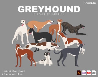 Könnte beinhalten: Eine Sammlung von Windhund-Cliparts in verschiedenen Posen und Farben, darunter Weiß, Schwarz, Braun und gestromt. Der Text "GREYHOUND CLIPART COLLECTION" steht oben, mit "Instant Download Commercial Use" unten.