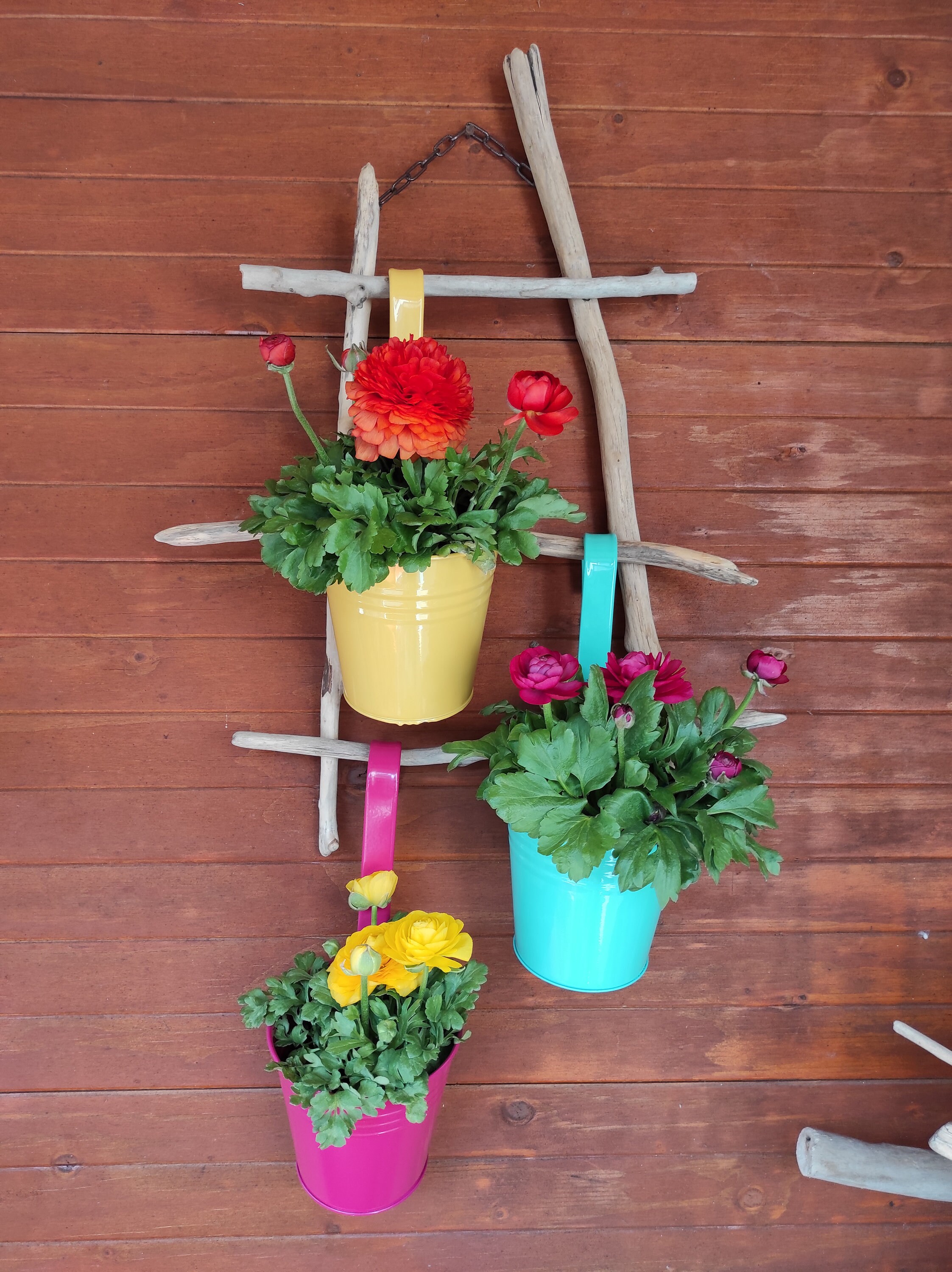 Accroche Plante en Bois Flotté