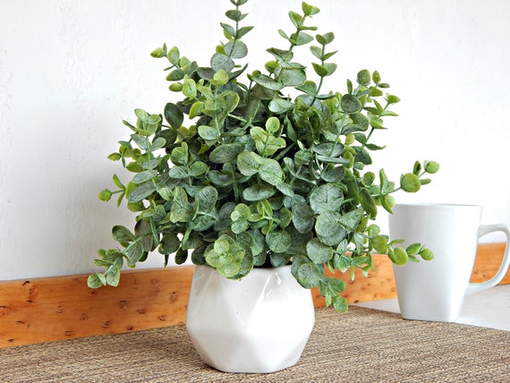 Ceramic Potted Faux Eucalyptus