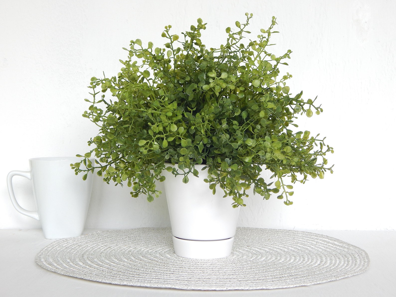 Fern Plant in White Ceramic Pot Faux Indoor Plant Artificial Etsy
