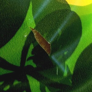 Pode incluir: Close-up de um tecido verde e marrom com superf&iacute;cie texturizada. O tecido tem um padr&atilde;o de folhas e um rasgo no centro.
