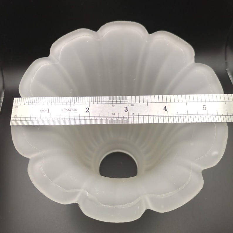 Glass Lamp Shade Replacement Morning Glory? Tulip? Frosted Clear Floral Shaped image 4