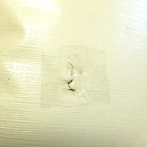 Pode incluir: Um close-up de uma superf&iacute;cie branca com um pequeno peda&ccedil;o de fita retangular transparente. A fita tem um pequeno rasgo no centro.